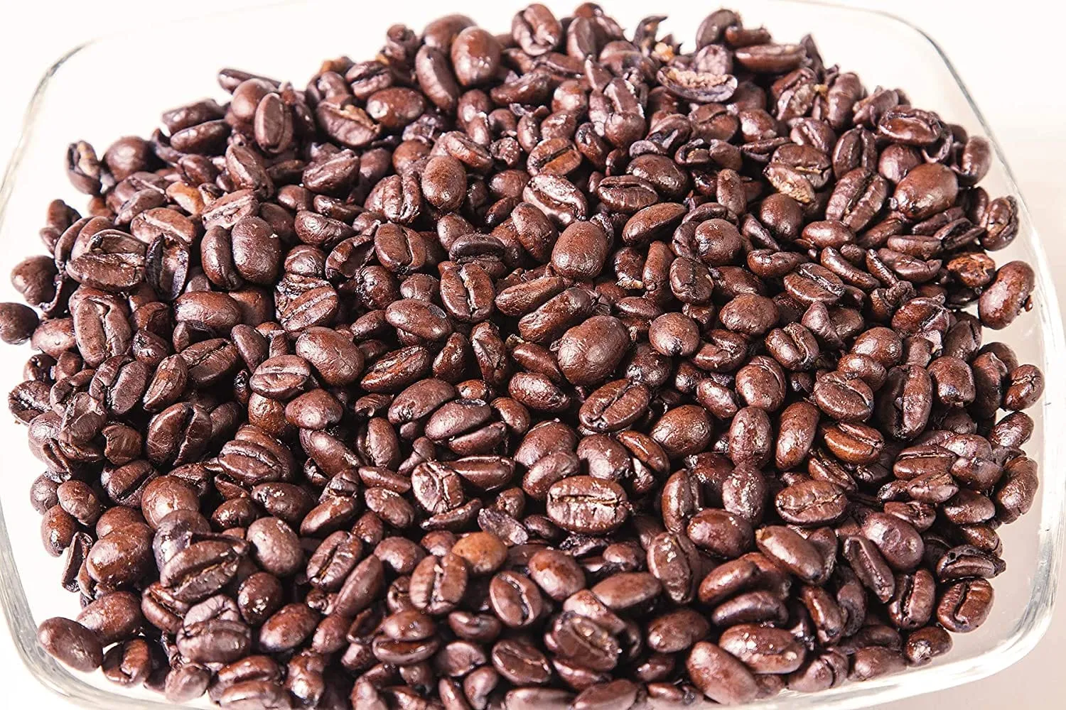 Coffee ProKeeper by Progressive
