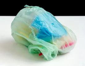 Peter Abrahams | Plastic Enclosed [from the series Miscibility] (2012)